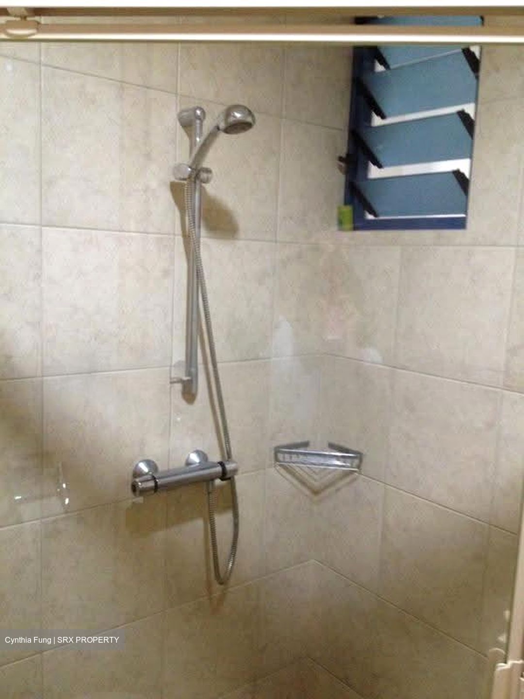Water Place (D15), Condominium #615156271